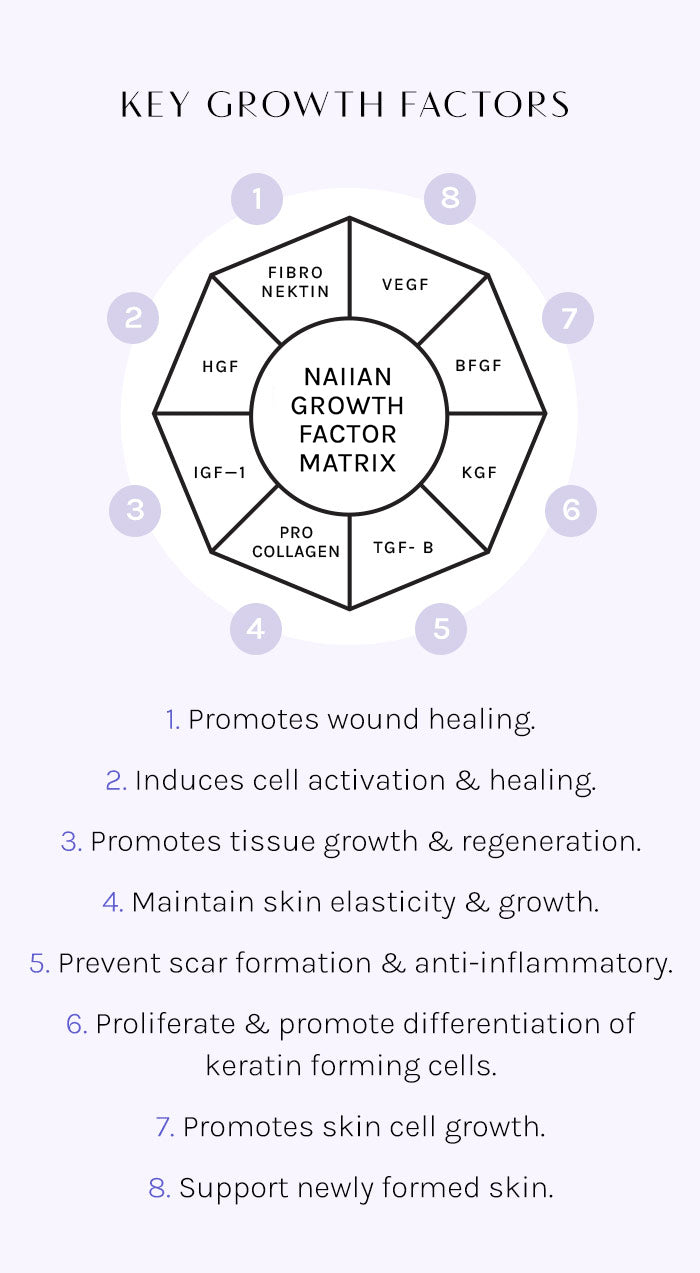 Graphic that shows the Growth Factors present in our Key Growth Factors Matrix